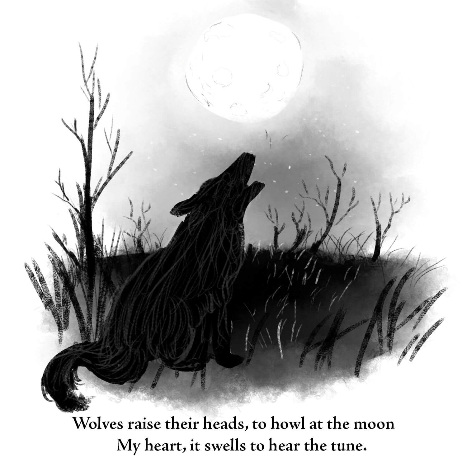 page7